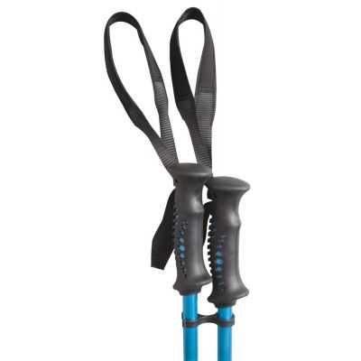 Палки горнолыжные West Highland-1