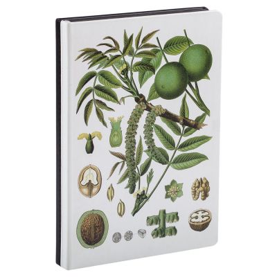 Ежедневник «Грецкий орех», недатированный-1