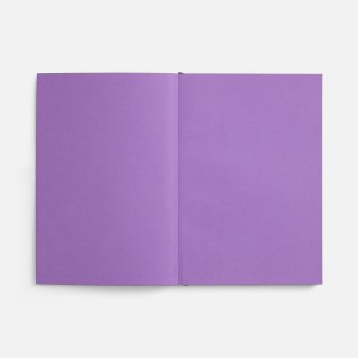 Ежедневник Flat ver.2, недатированный, фиолетовый-7
