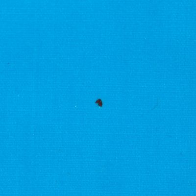 Поясная сумка Manifest Color из светоотражающей ткани, синяя, уценка-3