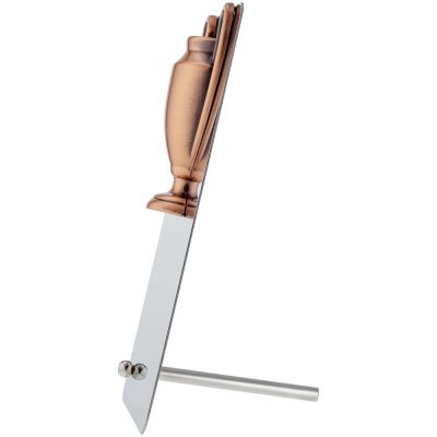 Награда Bowl Bronze-3