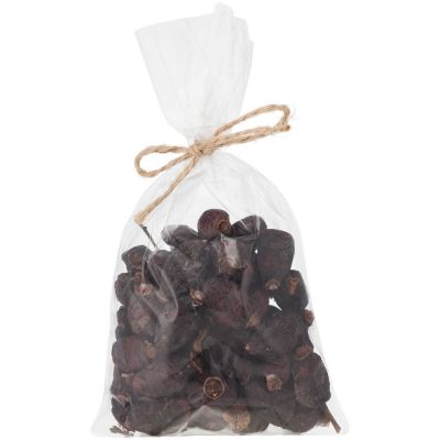 Шиповник Rosehip Joy-0