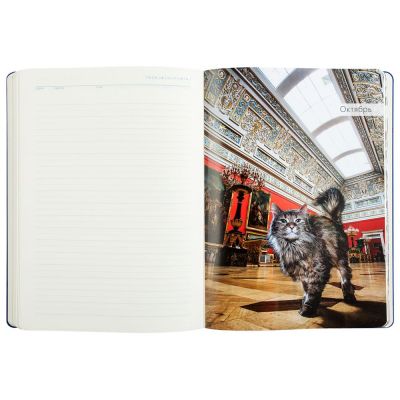 Ежедневник «Эрмитажные коты», синий-12