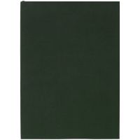 Ежедневник Flat, недатированный, зеленый, без ляссе