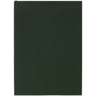 Ежедневник Flat, недатированный, зеленый, без ляссе-0