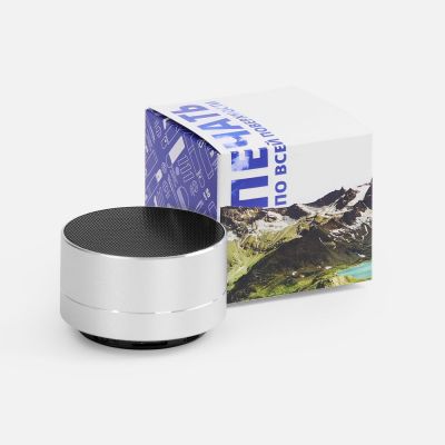 Коробка с полноцветной печатью для колонки Easy-1