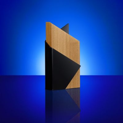 Стела Majestas-4