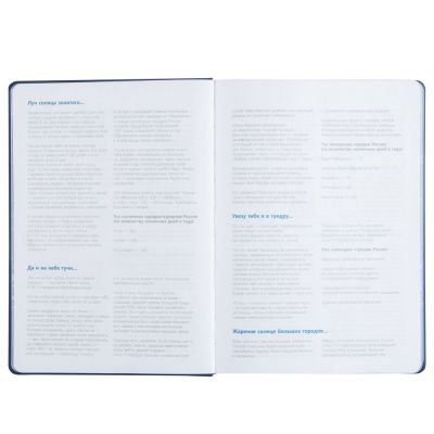 Ежедневник «Открывая Россию», синий-6