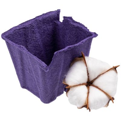 Цветок хлопка Cotton, белый-1