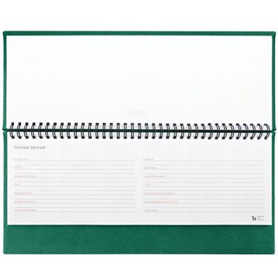 Планинг Sagrin, датированный, зеленый-3