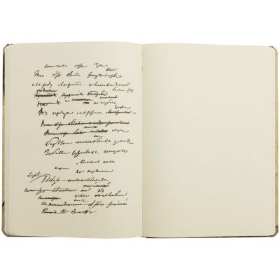 Блокнот «Рукописи»-8