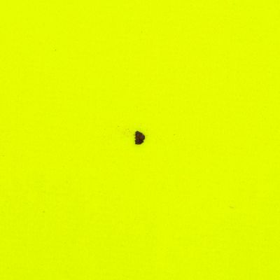 Рюкзак Manifest Color из светоотражающей ткани, желтый неон уценка-5