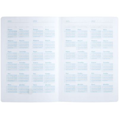 Ежедневник «Исторический», полудатированный, серебро-12