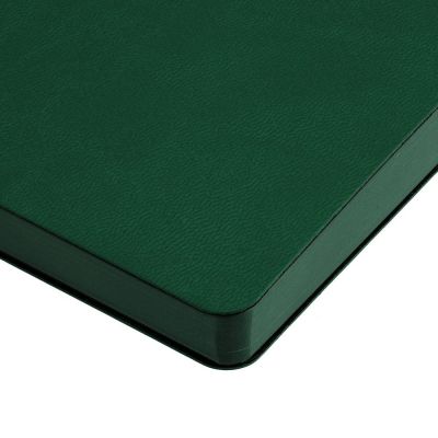 Ежедневник Fredo, недатированный, зеленый-4