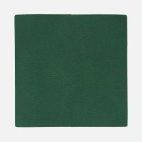 Лейбл Listra Latte, L, зеленый