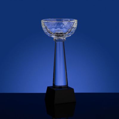 Кубок Cupture, средний-2