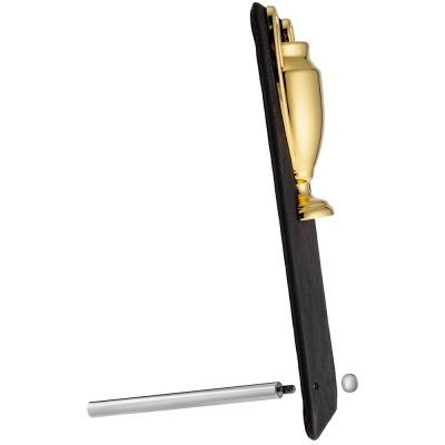 Награда Triumph Gold-2