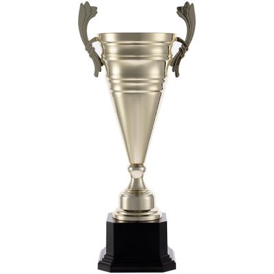 Кубок Recordsman, золотистый-0