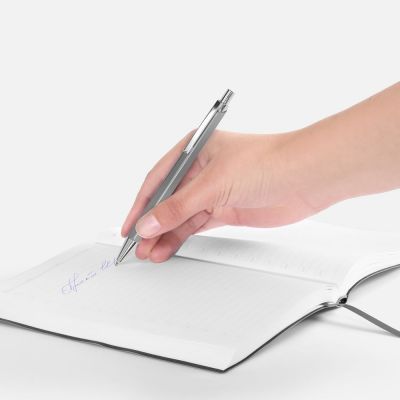 Ручка шариковая Alumno, серая-3