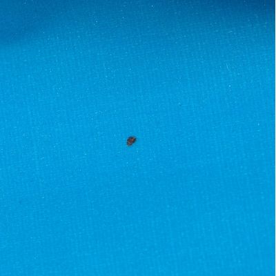 Поясная сумка Manifest Color из светоотражающей ткани, синяя, уценка-4