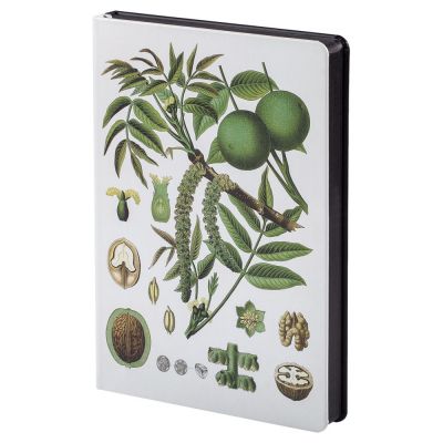 Ежедневник «Грецкий орех», недатированный-0