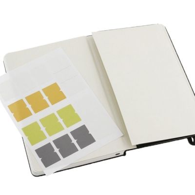 Записная книжка Moleskine Professional Large, черная-3