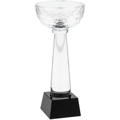 Кубок Cupture, средний-1