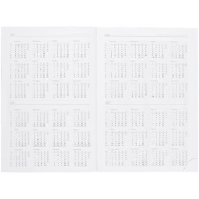 Ежедневник Time, датированный, оранжевый-3