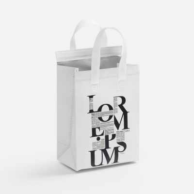 Термосумка для напитков «Термобэг» на заказ, S-1