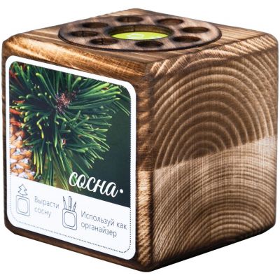 Набор для выращивания с органайзером «Экокуб Burn», сосна-0