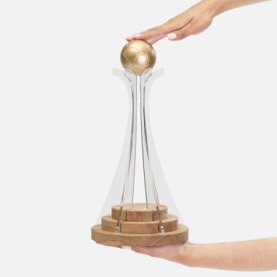 Кубок Everball c 3D-элементами-1