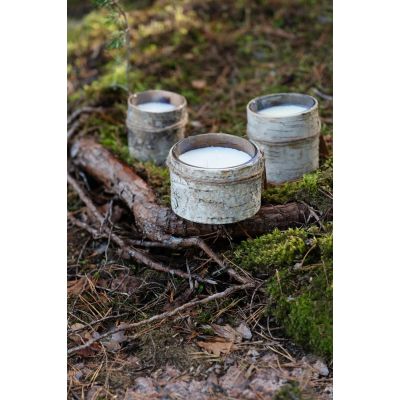 Свеча Birch Bark, большая-7