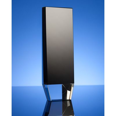 Награда Statum, малая-2