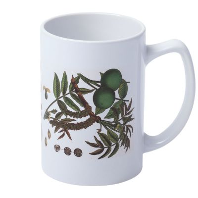 Кружка «Грецкий орех»-0