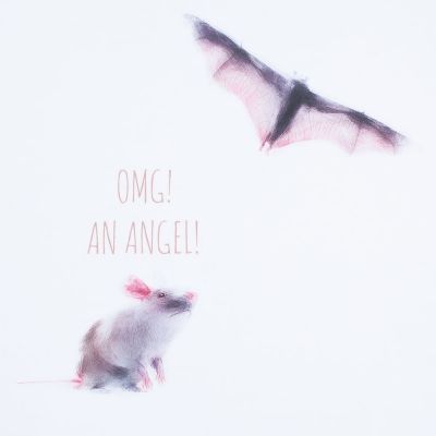 Футболка женская An Angel, белая-3