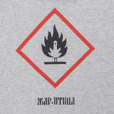 Футболка «Жар-птица», серый меланж-2