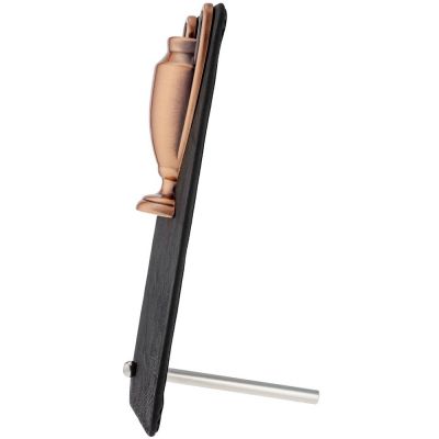 Награда Triumph Bronze-1