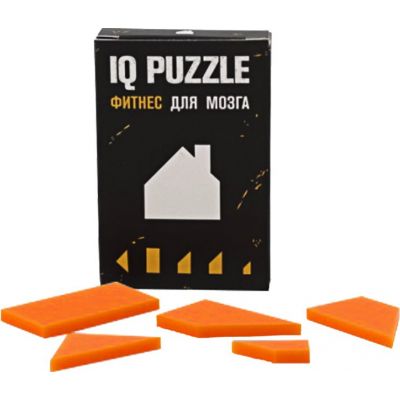 Головоломка IQ Puzzle, домик-0