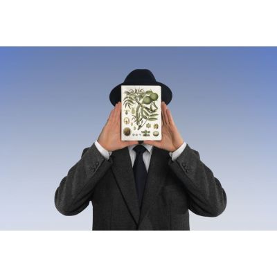 Кружка «Грецкий орех»-5