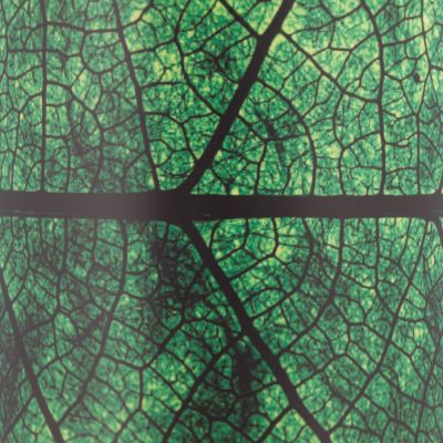 Кружка Evergreen-7