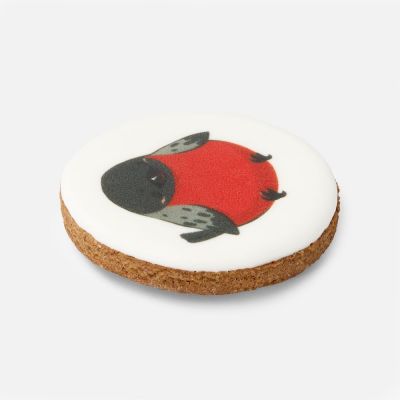 Печенье имбирное «Снегирь»-2