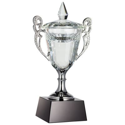 Кубок Victorious, уценка-0