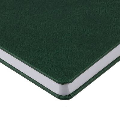 Ежедневник Base Mini, недатированный, зеленый-4