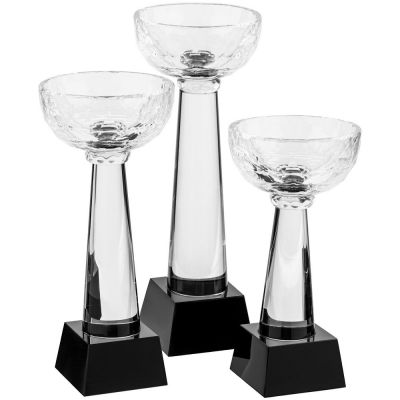 Кубок Cupture, малый-5