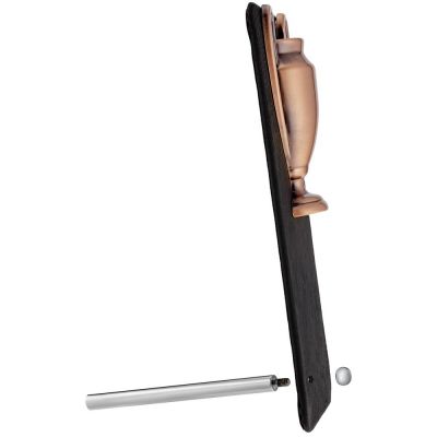 Награда Triumph Bronze-2