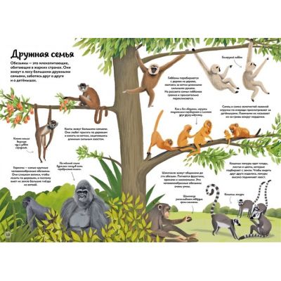 Книга «Большая книга о природе в картинках»-1