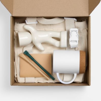 Набор Eco Sapiens Buddy-1