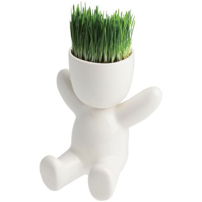 Набор для выращивания Funky Kid-0