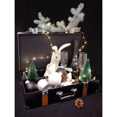 Чемодан с таймером обратного отсчета «Час Икс»-10