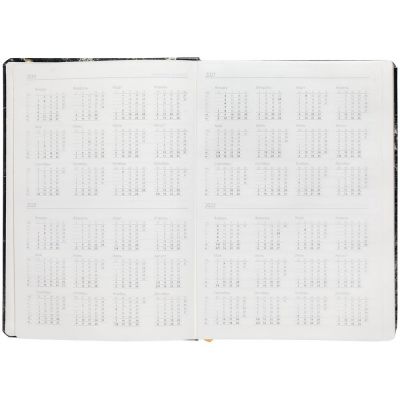 Ежедневник «Золотая Жила»-3